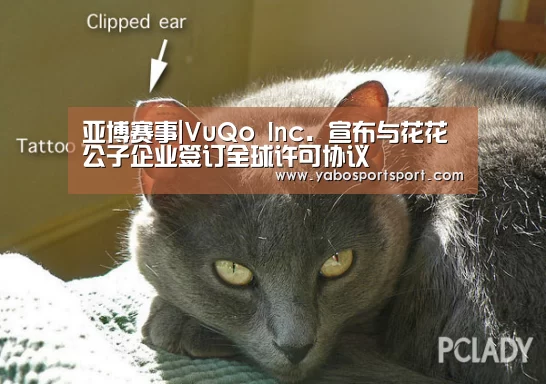 亚博赛事|VuQo Inc. 宣布与花花公子企业签订全球许可协议(图2) 亚博官方