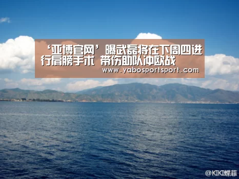 ‘亚博官网’曝武磊将在下周四进行肩膀手术 带伤助队冲欧战(图2) 亚博官方