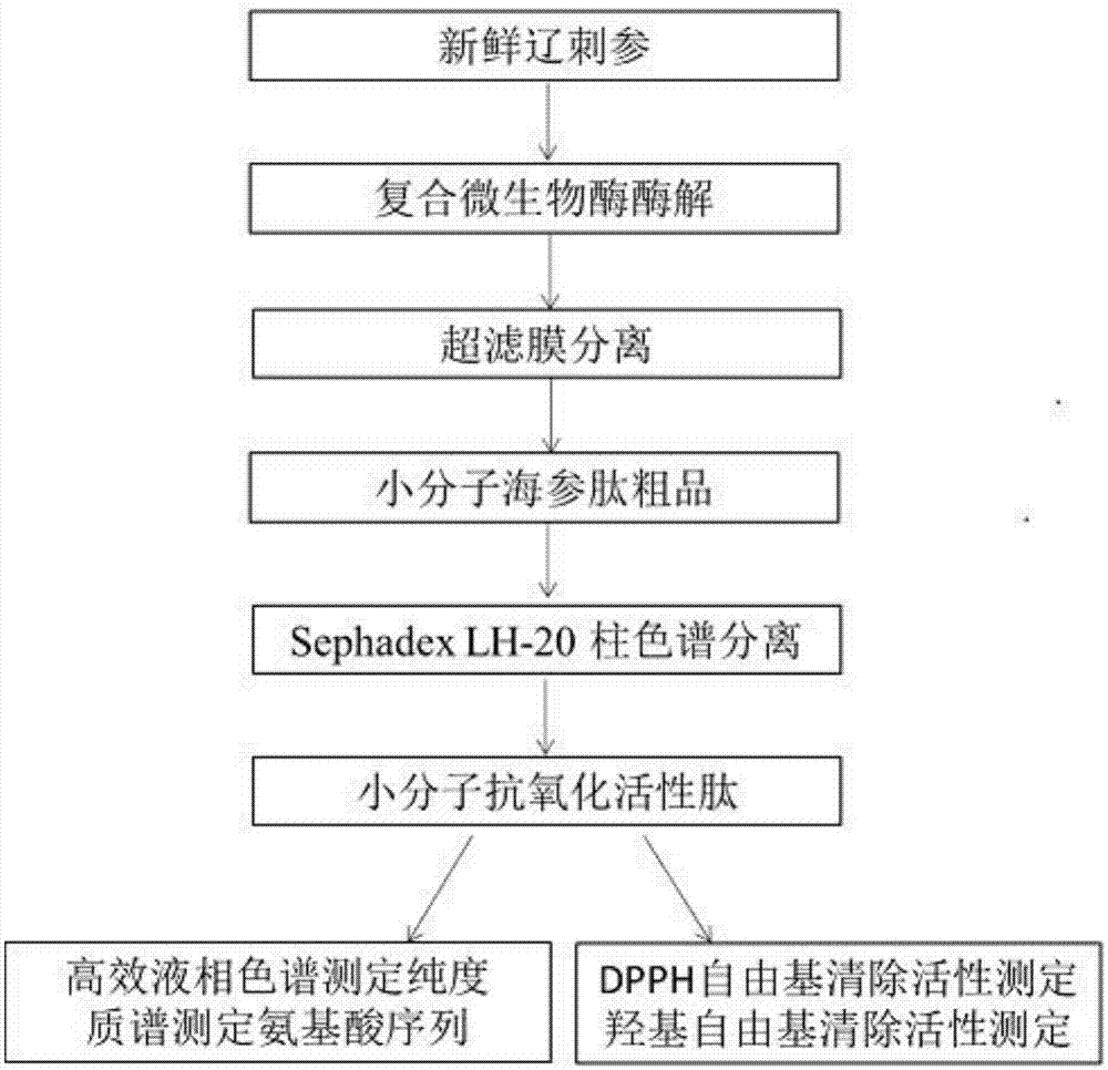 2019-20赛季CBA各队详细资料,实力排行,阵容分析详解,季初首发_亚博官网(图1) 亚博赛事